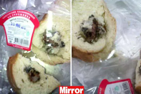 Compra il pane dal fornaio, lo taglia e trova un topo