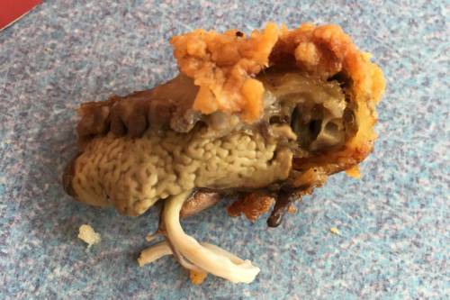 Ordina del pollo fritto da KFC, ma fa una scoperta disgustosa