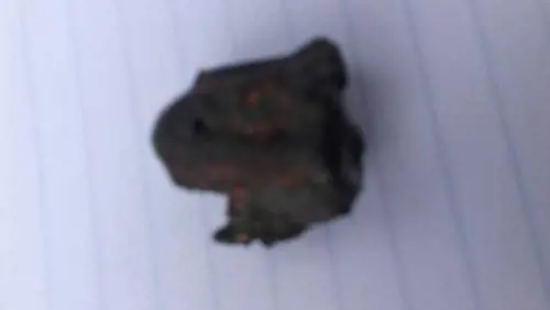 "Rimasto ucciso da un meteorite". L'assurdo caso senza precedenti