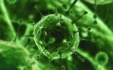 Superbatteri resistenti, attenti ai cellulari