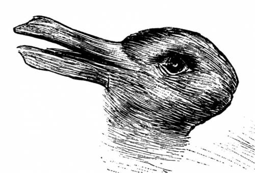 Anatra o coniglio? La risposta rivela che tipo di mente possiedi