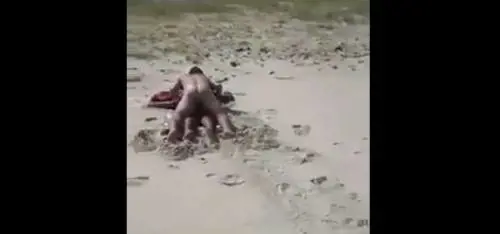 Fanno sesso in spiaggia: un passante li riprende