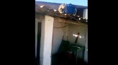Macaco ubriaco, terrorizza i passanti con un machete
