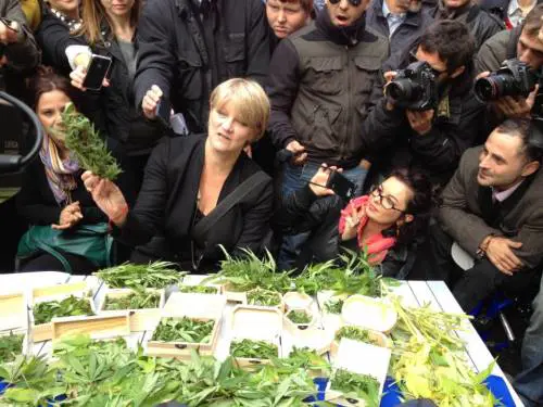 La radicale Bernardini prosciolta, coltivare cannabis non è reato