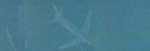 La foto dell'aereo nel lago che fa il giro del web