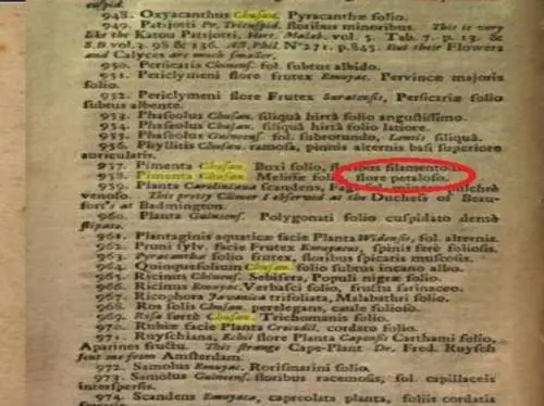 La parola petaloso? Già utilizzata in un libro del 1693