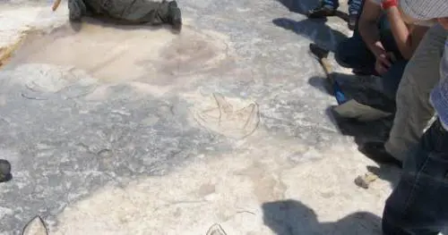 Trovate orme di dinosauro sulle coste pugliesi
