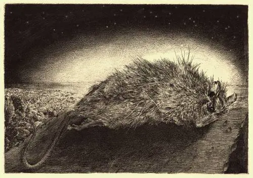Lo "scienziato" Velly che diede vita alla morte