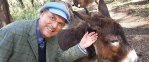 Luca Sardella e gli auguri alle donne con la foto di un asino