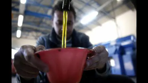 L'olio tunisino ci invade La rivolta degli agricoltori