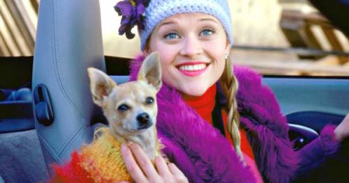 Reese Witherspoon a lutto per la morte di un cane, "collega" sul set