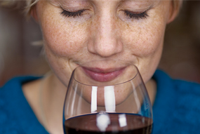 God save The Wine: 20 grandi cantine con i loro vini