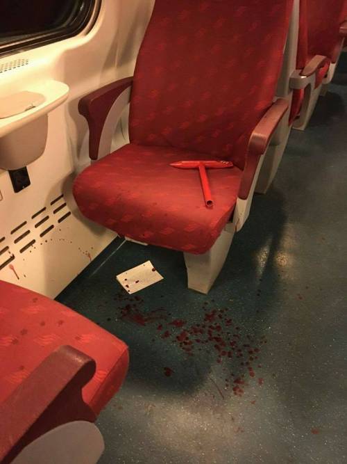 La furia di un romeno in treno: le sfonda la testa per derubarla