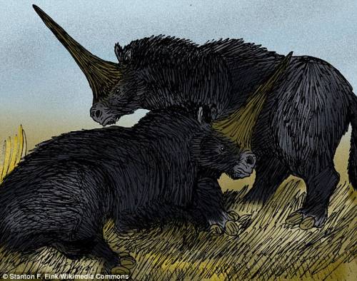Se gli unicorni non fossero un mito?