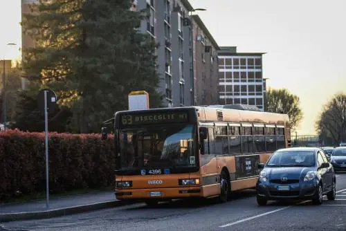 Firme per il percorso dei bus. "L'isolamento è insicurezza"