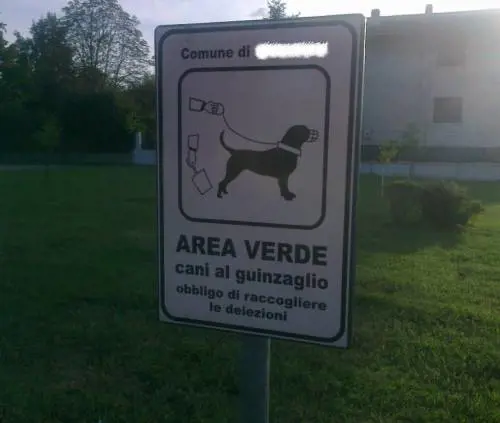 Ferrara, due italiane aggredite da un branco di stranieri spacciatori