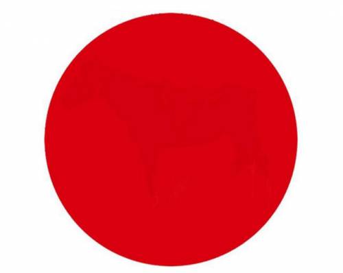 Cosa nasconde il cerchio rosso?
