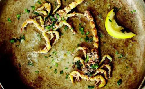 Gli street food più strani del mondo