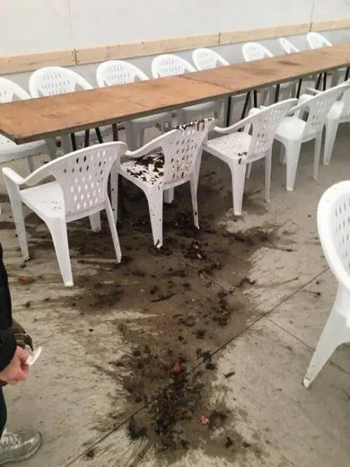 Forlì, vandalizzano il comizio di Salvini ma sbagliano posto