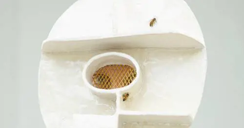 miart, Fondazione Fiera Milano acquisisce nuove opere per la sua collezione d'arte