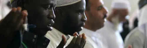 Nasce sito di incontri tra tedeschi e migranti