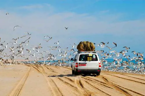 Guadagnare girando il mondo? È possibile. Ecco i segreti di chi lo fa