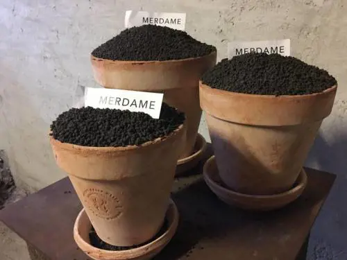 Fuorisalone, ecco il "museo dello sterco"