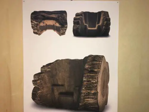 La sedia che nasce da un albero 