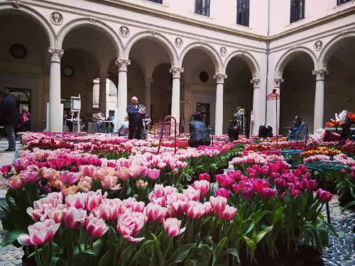 Una domenica a palazzo