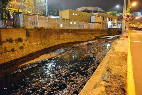 Genova, rischio inquinamento per sversamento di petrolio