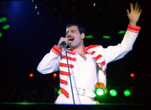 Freddie Mercury, dalla scienza il perché del successo della sua voce
