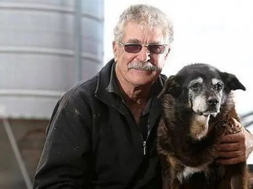 Addio al cane Matusalemme. Era il più vecchio del mondo