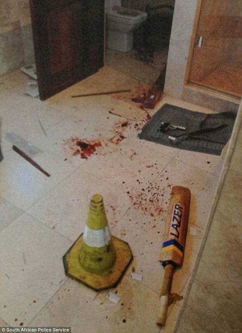 Caso Pistorius, Reeva fu colpita da una mazza da cricket prima dell'omicidio