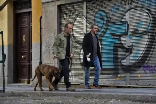 Il film del weekend: "Truman - Un vero amico è per sempre"