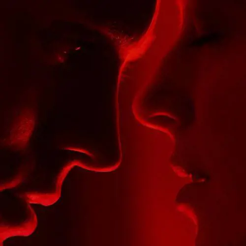 Cinquanta sfumature di grigio: scene hot