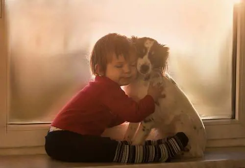 "I cani odiano gli abbracci. Per questo diventano aggressivi"
