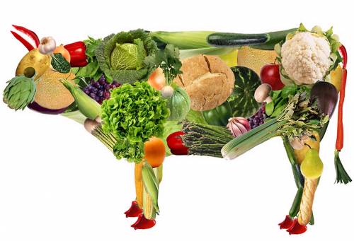"I vegetariani non esistono": la dimostrazione dell'esperto in 3 punti