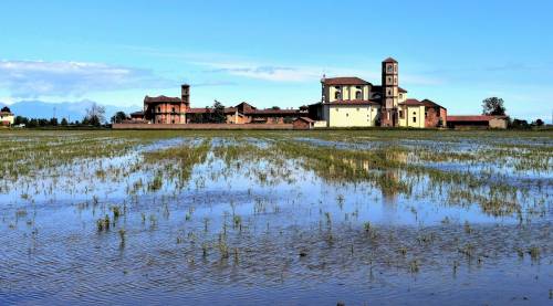 Il mare a quadretti e la vita di risaia