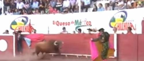 Messico, torero incornato "Resterà tetraplegico"