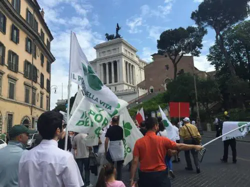 Così i cattolici hanno smesso di avere rilevanza politica