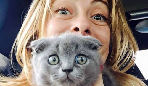 Luxuria sbeffeggia la Meloni: "Il suo gatto? E chi le dice che non sia gay?"