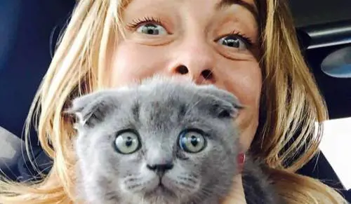 Luxuria sbeffeggia la Meloni: "Il suo gatto? E chi le dice che non sia gay?"