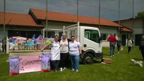 "Niente regali solo croccantini": gliene arrivano 700 kg grazie a Fb
