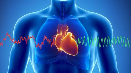 L'allarme sull'infarto "silenzioso" Colpisce e porta a morte prematura