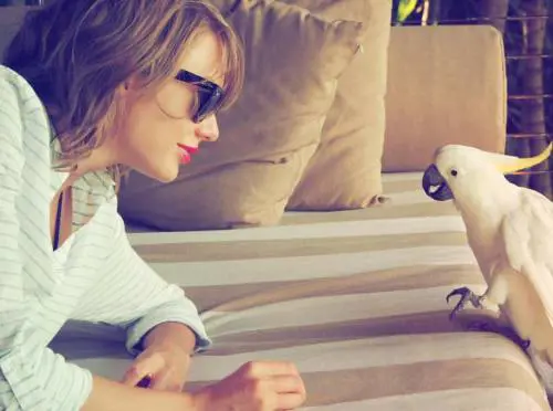 Demi Lovato e Taylor Swift su Instagram, foto