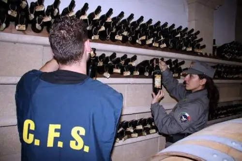 Se il vino doc piemontese è fatto con mosto della Moldavia