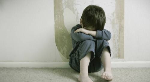 Convinto da un pedofilo ad abusare del fratellino: estradato minorenne