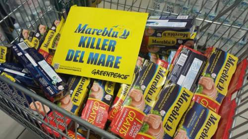 Greenpeace fa sparire dai supermercati il tonno in scatola Mareblu