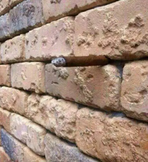 L'illusione ottica del muro di mattoni diventa virale su Facebook