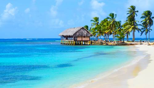 La proposta di un surfista: "Vi offro sei mesi di vacanza ai Caraibi se aiutate la mia ragazza"